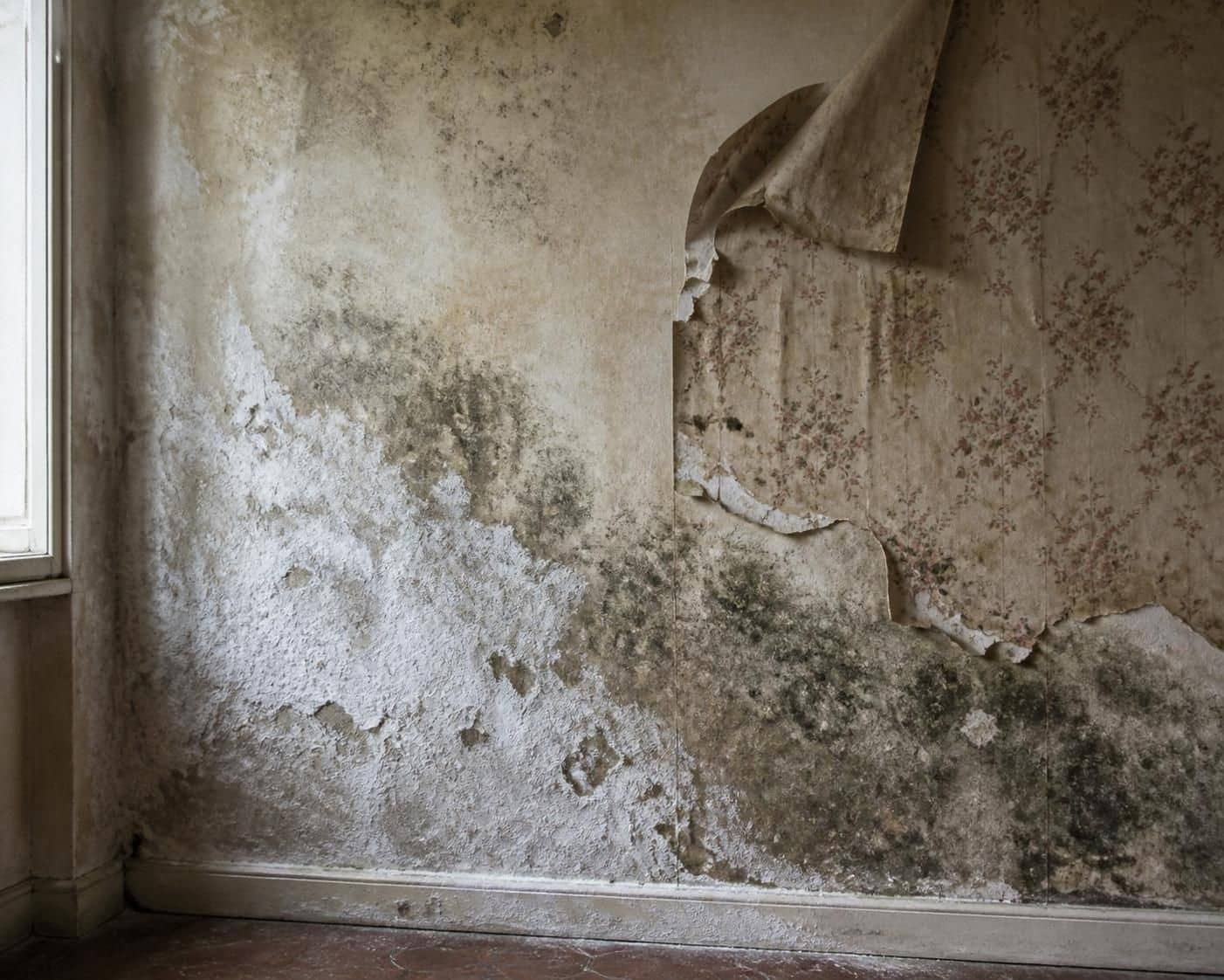 découvrez comment identifier la cause de l'humidité qui remonte dans un mur pour appliquer le traitement adapté et protéger efficacement votre habitat.